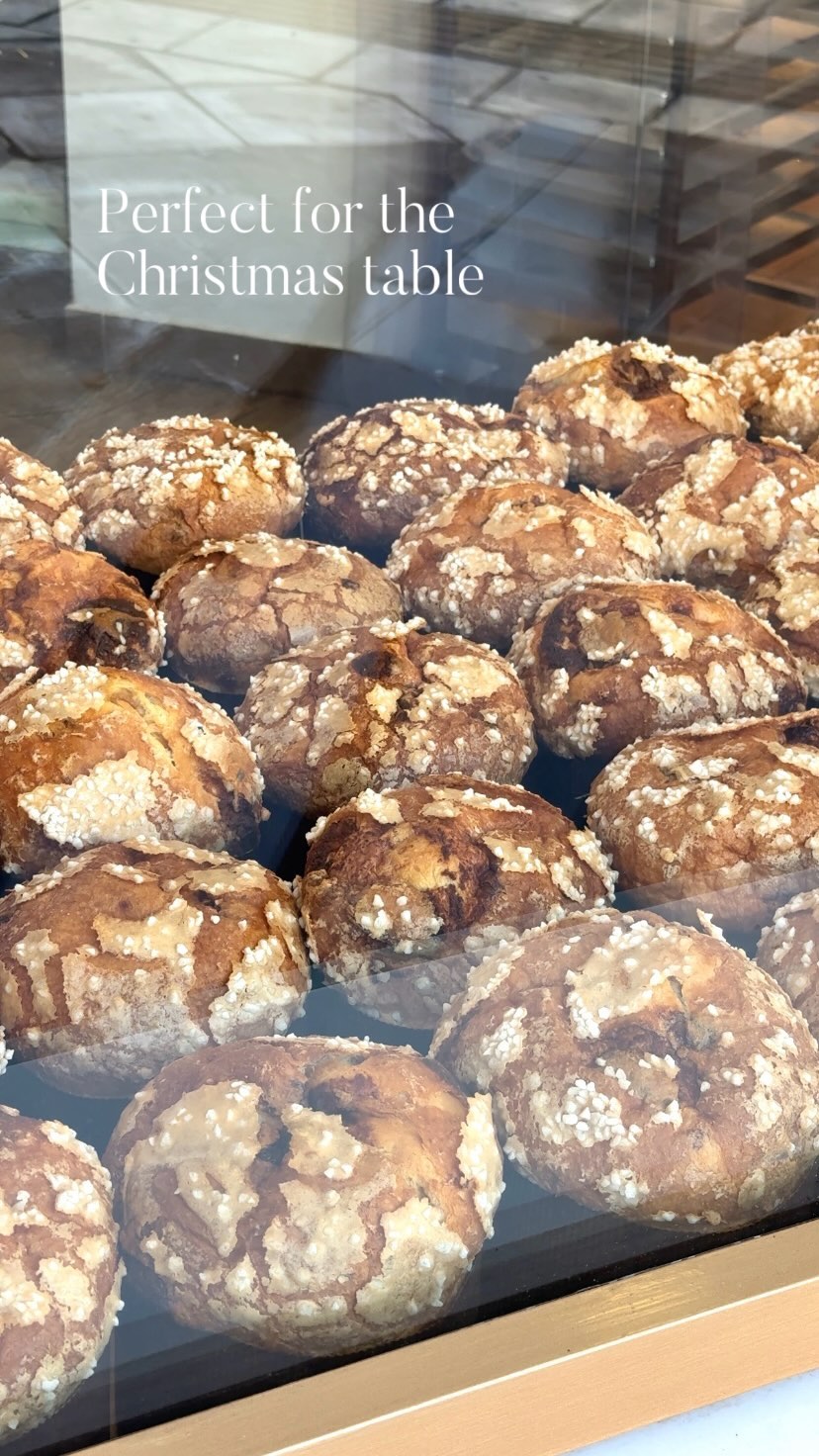 471462383_1243915306686180_2531037702740190098_n